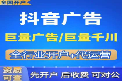 竞价广告在XX行业的成功应用案例